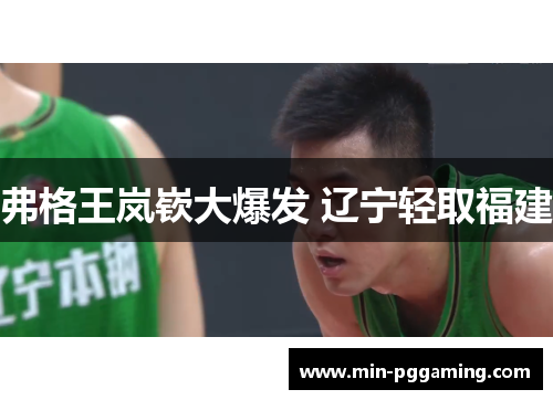 弗格王岚嵚大爆发 辽宁轻取福建